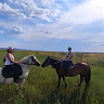 Конная прогулка  в Белгороде. Подарочные сертификаты Ultra Подарки. Купить оригинальный подарок или подарочный сертификат на Конная прогулка  в Белгороде. Сервис UltraPodarki.ru 8-800-505-9530. Катание на лошадях, Прогулка на лошади, Прогулка на лошадях для двоих, Конная прогулка , конный клуб, Конный клуб, конная прогулка, конная прогулка в Белгороде