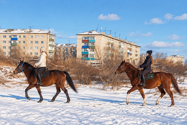 Конная прогулка  в Белгороде. Подарочные сертификаты Ultra Подарки. Купить оригинальный подарок или подарочный сертификат на Конная прогулка  в Белгороде. Сервис UltraPodarki.ru 8-800-505-9530. Катание на лошадях, Прогулка на лошади, Прогулка на лошадях для двоих, Конная прогулка , конный клуб, Конный клуб, конная прогулка, конная прогулка в Белгороде