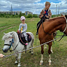 Конная прогулка  в Белгороде. Подарочные сертификаты Ultra Подарки. Купить оригинальный подарок или подарочный сертификат на Конная прогулка  в Белгороде. Сервис UltraPodarki.ru 8-800-505-9530. Катание на лошадях, Прогулка на лошади, Прогулка на лошадях для двоих, Конная прогулка , конный клуб, Конный клуб, конная прогулка, конная прогулка в Белгороде