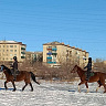 Конная прогулка  в Белгороде. Подарочные сертификаты Ultra Подарки. Купить оригинальный подарок или подарочный сертификат на Конная прогулка  в Белгороде. Сервис UltraPodarki.ru 8-800-505-9530. Катание на лошадях, Прогулка на лошади, Прогулка на лошадях для двоих, Конная прогулка , конный клуб, Конный клуб, конная прогулка, конная прогулка в Белгороде